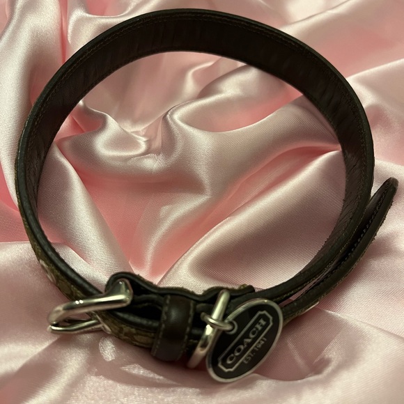 Coach dog collar size large